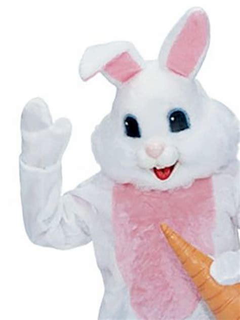 Bunny mascot attire